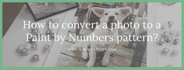 Convert photo to a paint by numbers pattern