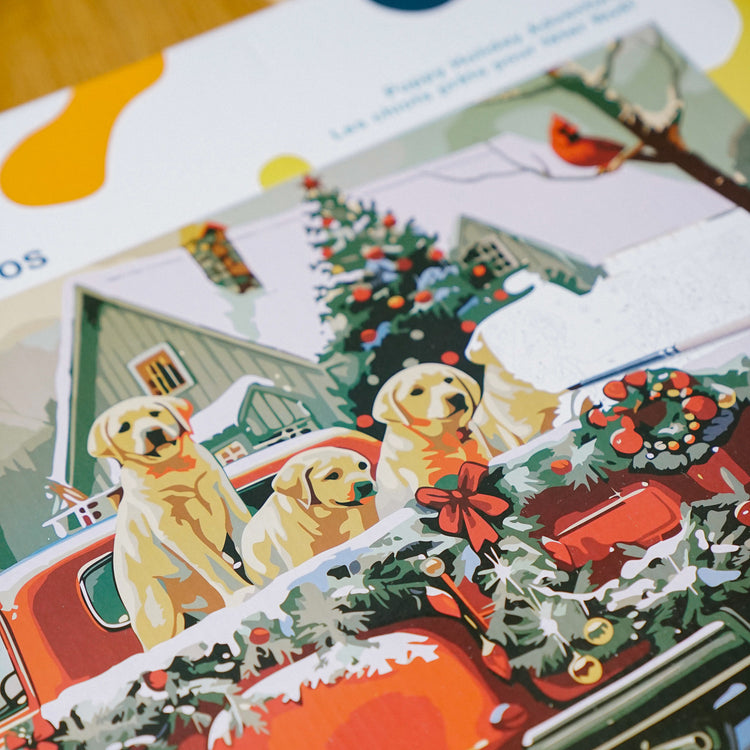 Puppy Holiday Adventure