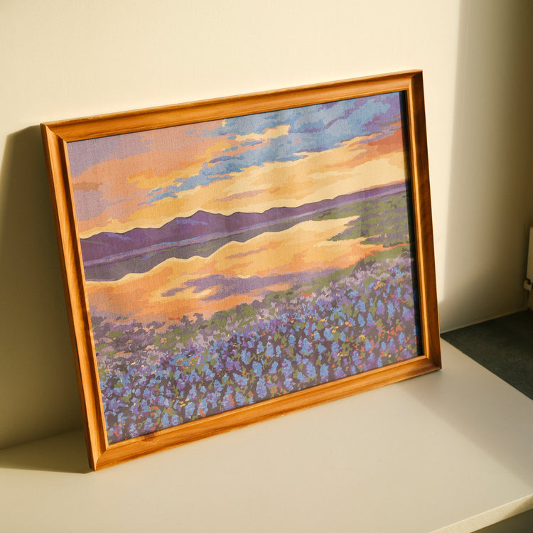 La rhapsodie des lupins bleus