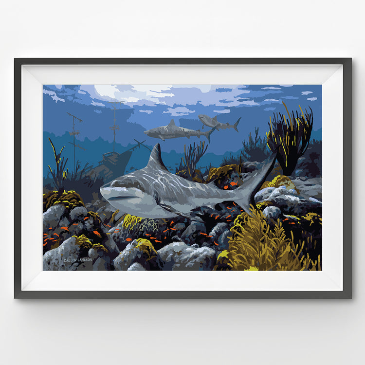 sharks by the reef paint by numbers