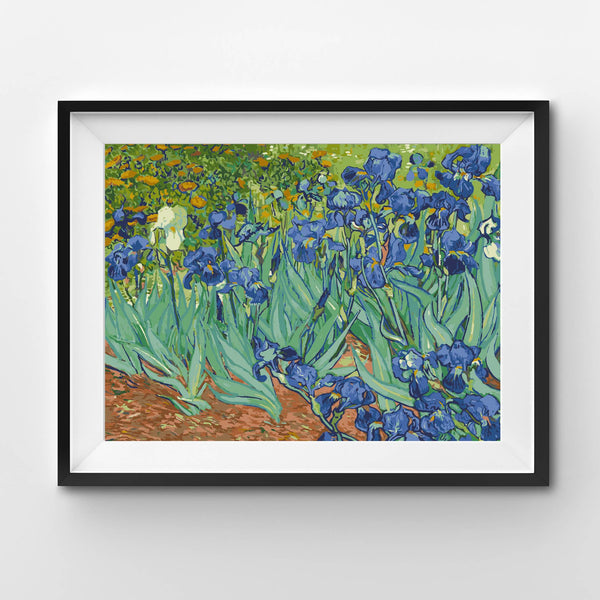 Irises, Vincent van Gogh