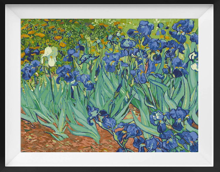 Irises, by Vincent van Gogh