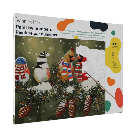 Paint by numbers kit packaging with birds on a branch design