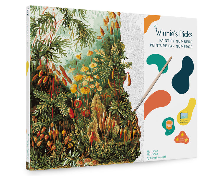 Winnie's Picks Adult Paint by Numbers Kit, 16 x 20, A Norwegian