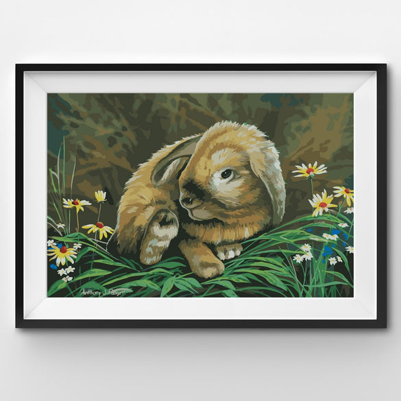 Painting By Number Little cute rabbit in the forest