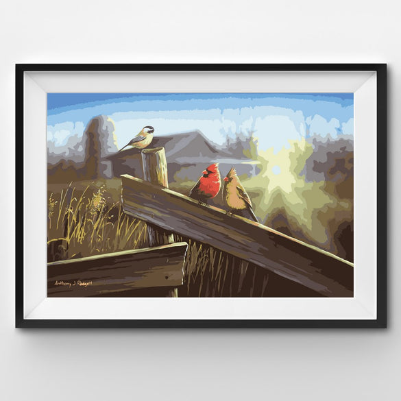 Painting By Number Birds sitting on a fence in the morning
