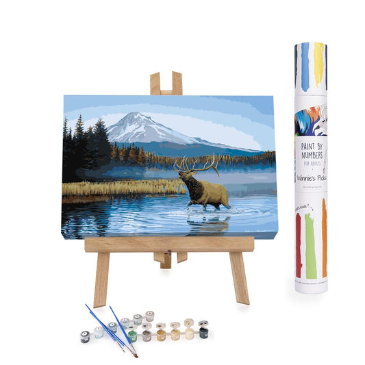 Effulgent October Adults Paint by Numbers Kit Free Shipping From  California, USA 