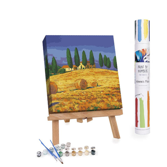 Paint By Numbers Adults Countryside in Tuscany Italy on Holiday