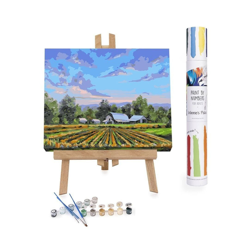 Paint By Numbers Adults Farm Landscape Blue Sky