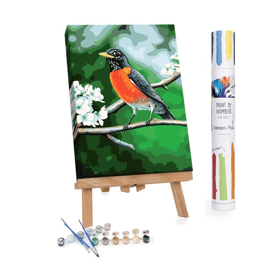 Paint By Numbers Adults Robin in A Tree in Spring