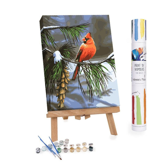 QENSPE Peinture par Numéros pour Adultes sur Toile Encadrée - avec QENSPE Peinture par Numéros pour Adultes sur Toile Encadrée - avec