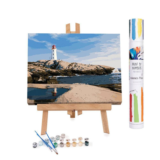 Winnie's Picks Adult Paint by Numbers Kit, 16 x 20, A Norwegian Fjord  Cabin - Advanced