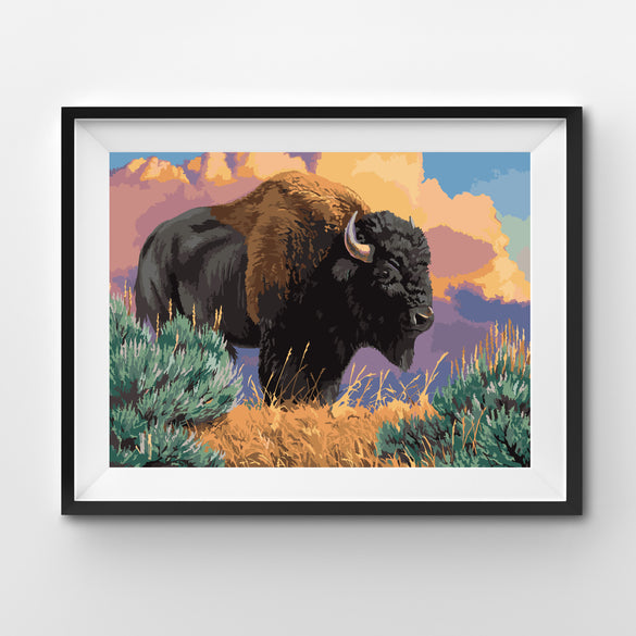 American Buffalo after storm painting by numbers