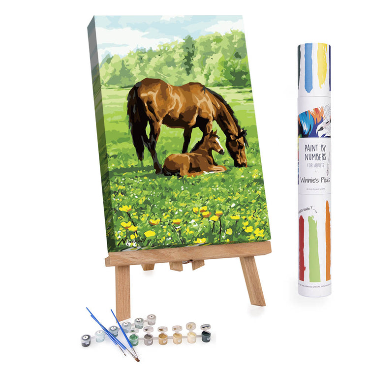 horse and foal in field paint by numbers
