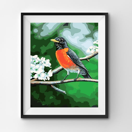 Painting By Number Robin Bird on a Branch in Summer