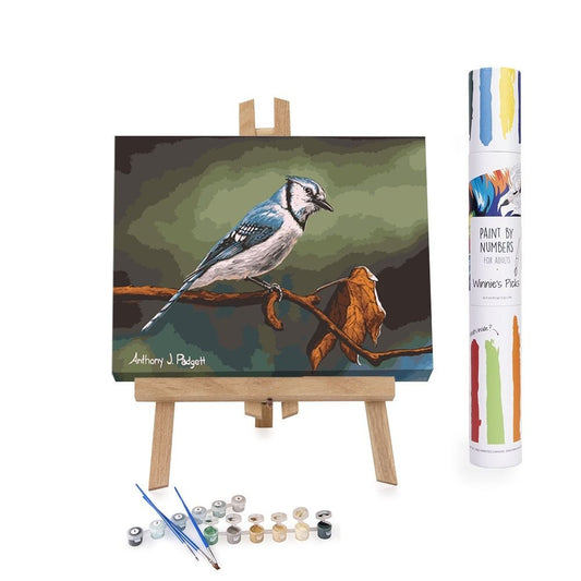 Paint By Numbers Adults Blue Bird On A Tree
